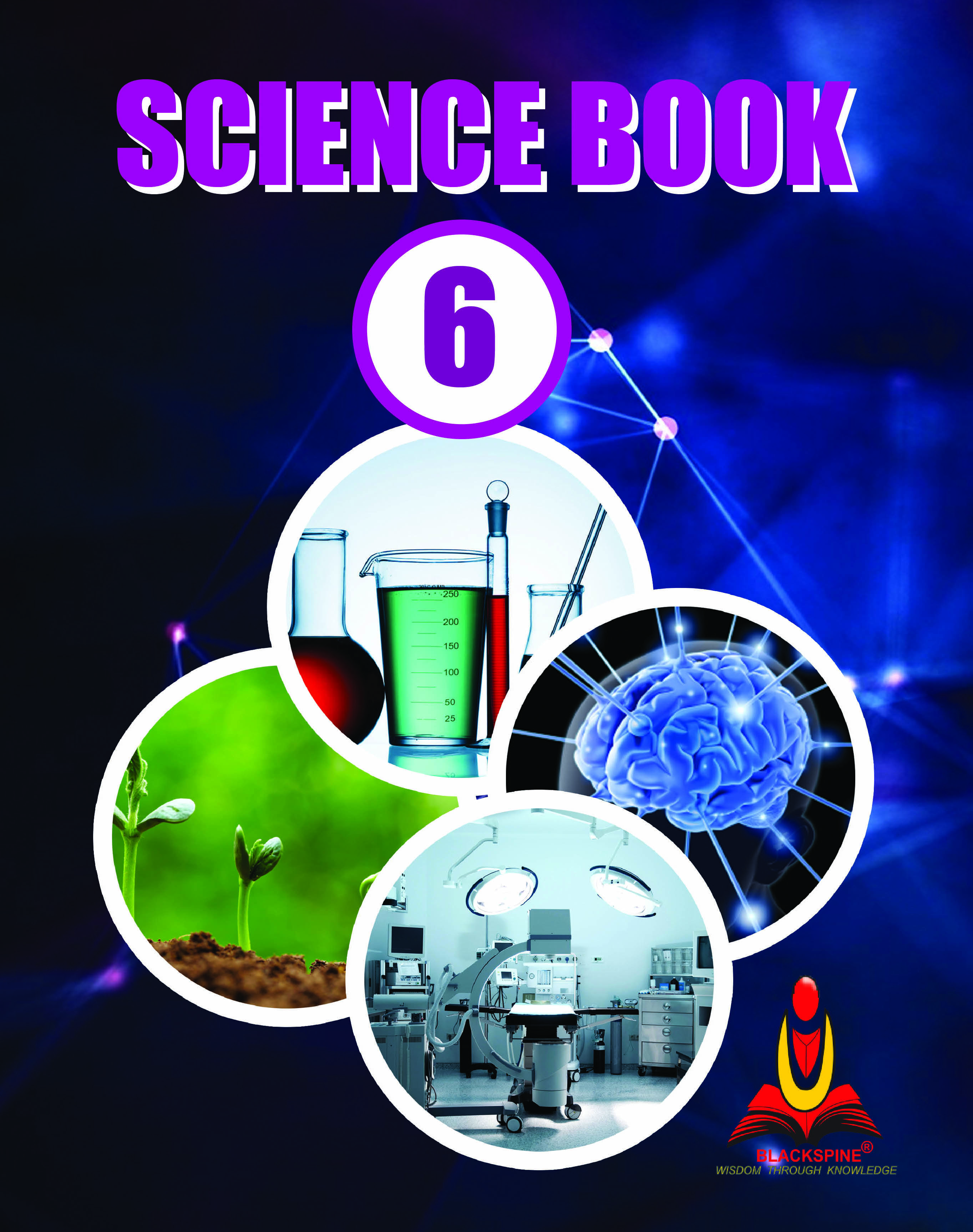 case study of science class 6